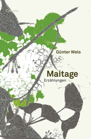 Maitage von Wels,  Günter