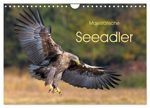 Majestätische Seeadler (Wandkalender 2024 DIN A4 quer), CALVENDO Monatskalender von Weiß,  Elmar