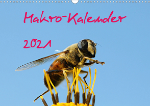 Makro-Kalender 2021 (Wandkalender 2021 DIN A3 quer) von Witkowski,  Bernd