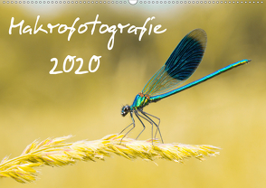 Makrofotografie Kalender 2020 (Premium, hochwertiger DIN A2 Wandkalender 2020, Kunstdruck in Hochglanz) von Daniel Fotografie,  David