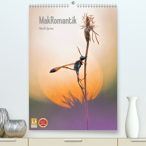 MakRomantik (Premium, hochwertiger DIN A2 Wandkalender 2023, Kunstdruck in Hochglanz) von Spranz,  Henrik