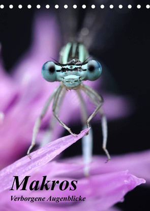 Makros – Verborgene Augenblicke (Tischkalender 2023 DIN A5 hoch) von Hruschka Photography,  Michael