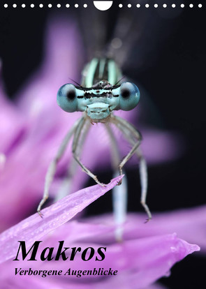 Makros – Verborgene Augenblicke (Wandkalender 2023 DIN A4 hoch) von Hruschka Photography,  Michael