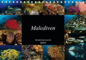 Malediven – Die bunte Unterwasserwelt (Tischkalender 2019 DIN A5 quer) von H. Kraus,  Martin