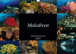 Malediven – Die bunte Unterwasserwelt (Wandkalender 2019 DIN A3 quer) von H. Kraus,  Martin