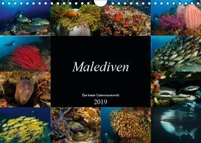 Malediven – Die bunte Unterwasserwelt (Wandkalender 2019 DIN A4 quer) von H. Kraus,  Martin