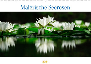 Malerische Seerosen (Wandkalender 2024 DIN A2 quer), CALVENDO Monatskalender von Jäger,  Anette/Thomas