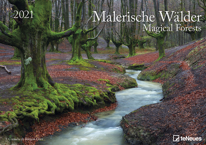 Malerische Wälder 2021 – Wand-Kalender – 42×29,7 – Wald – Natur von Dörr,  Cornelia & Ramon