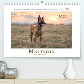 Malinois – Belgische Energiebündel (Premium, hochwertiger DIN A2 Wandkalender 2022, Kunstdruck in Hochglanz) von Wrede,  Martina