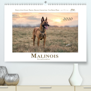 Malinois – Belgische Energiebündel (Premium, hochwertiger DIN A2 Wandkalender 2020, Kunstdruck in Hochglanz) von Wrede,  Martina