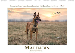 Malinois – Belgische Energiebündel (Wandkalender 2023 DIN A2 quer) von Wrede,  Martina