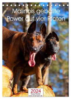 Malinois geballte Power auf vier Pfoten (Tischkalender 2024 DIN A5 hoch), CALVENDO Monatskalender von Riedel,  Tanja