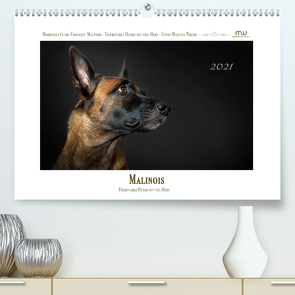 Malinois – Triebstarke Hunde mit viel Herz (Premium, hochwertiger DIN A2 Wandkalender 2021, Kunstdruck in Hochglanz) von Wrede,  Martina