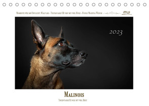 Malinois – Triebstarke Hunde mit viel Herz (Tischkalender 2023 DIN A5 quer) von Wrede,  Martina