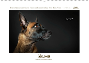 Malinois – Triebstarke Hunde mit viel Herz (Wandkalender 2021 DIN A2 quer) von Wrede,  Martina