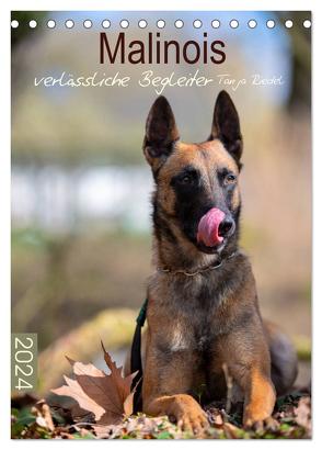 Malinois verlässliche Begleiter (Tischkalender 2024 DIN A5 hoch), CALVENDO Monatskalender von Riedel,  Tanja