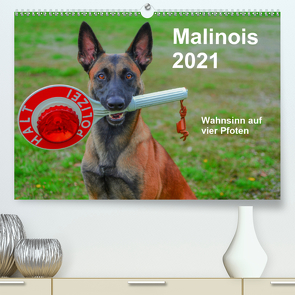 Malinois – Wahnsinn auf vier Pfoten (Premium, hochwertiger DIN A2 Wandkalender 2021, Kunstdruck in Hochglanz) von Trocha,  Alexander