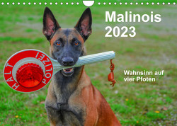 Malinois – Wahnsinn auf vier Pfoten (Wandkalender 2023 DIN A4 quer) von Trocha,  Alexander