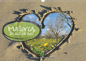 Mallorca, da will ich hin (Wandkalender 2023 DIN A3 quer) von Gerner-Haudum,  Gabriele