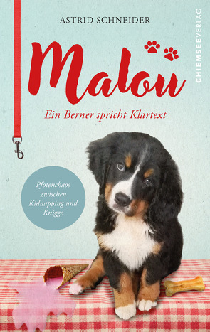 Malou – ein Berner spricht Klartext von Schneider,  Astrid