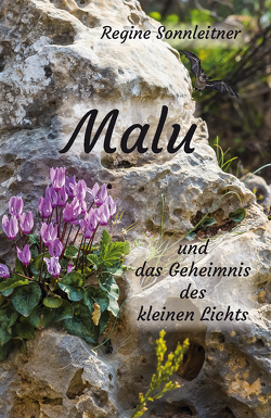 Malu und das Geheimnis des kleinen Lichts von Sonnleitner,  Regine