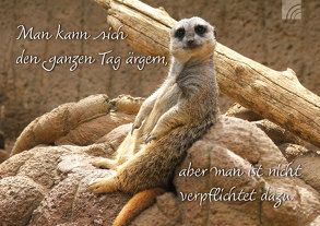 Man kann sich den ganzen Tag ärgern, aber man ist nicht verpflichtet dazu. von Shutterstock