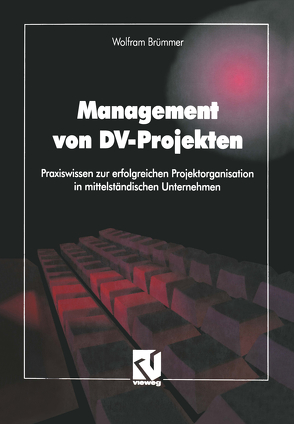 Management von DV-Projekten von Brümmer,  Wolfram