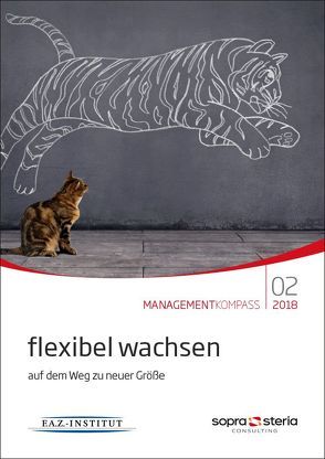 Managementkompass flexibel wachsen