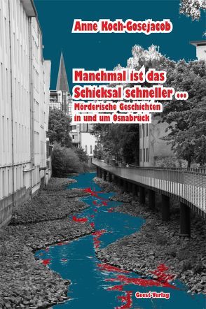 Manchmal ist das Schicksal schneller … von Koch-Gosejacob,  Anne