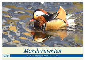 Mandarinenten, ein Farbtupfer auf allen Gewässern. (Wandkalender 2024 DIN A3 quer), CALVENDO Monatskalender von Rufotos,  Rufotos