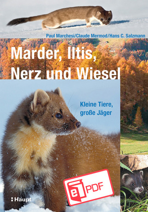 Marder, Iltis, Nerz und Wiesel von Marchesi,  Paul, Mermod,  Claude, Salzmann,  Hans C.