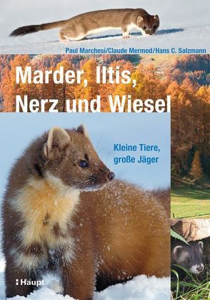 Marder, Iltis, Nerz und Wiesel von Marchesi,  Paul, Mermod,  Claude, Salzmann,  Hans C.