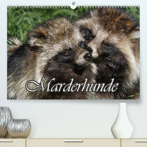 Marderhunde (Premium, hochwertiger DIN A2 Wandkalender 2022, Kunstdruck in Hochglanz) von Lindert-Rottke,  Antje