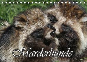 Marderhunde (Tischkalender 2022 DIN A5 quer) von Lindert-Rottke,  Antje