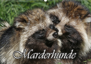 Marderhunde (Wandkalender 2021 DIN A2 quer) von Lindert-Rottke,  Antje