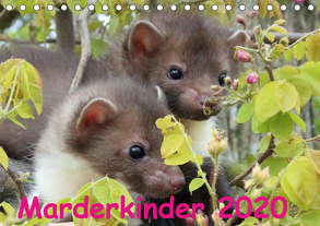 Marderkinder (Tischkalender 2020 DIN A5 quer) von Nixe