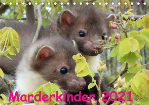 Marderkinder (Tischkalender 2021 DIN A5 quer) von Nixe