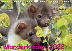 Marderkinder (Wandkalender 2022 DIN A4 quer) von Nixe