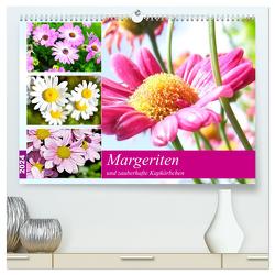 Margeriten und zauberhafte Kapkörbchen (hochwertiger Premium Wandkalender 2024 DIN A2 quer), Kunstdruck in Hochglanz von Hurley,  Rose