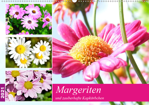 Margeriten und zauberhafte Kapkörbchen (Wandkalender 2021 DIN A2 quer) von Hurley,  Rose