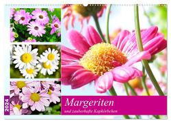 Margeriten und zauberhafte Kapkörbchen (Wandkalender 2024 DIN A2 quer), CALVENDO Monatskalender von Hurley,  Rose