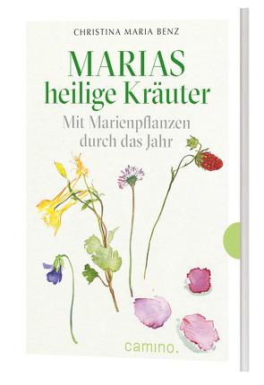 Marias heilige Kräuter von Daniel,  Juliane, Stegelmeier,  Nadine