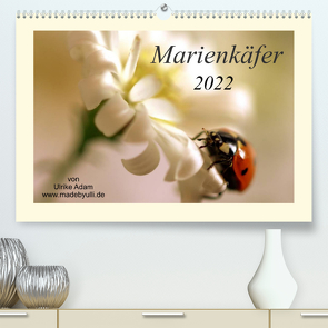 Marienkäfer / 2022 (Premium, hochwertiger DIN A2 Wandkalender 2022, Kunstdruck in Hochglanz) von Adam,  Ulrike, madebyulli.de