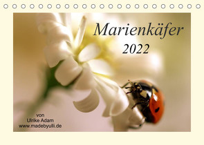 Marienkäfer / 2022 (Tischkalender 2022 DIN A5 quer) von Adam,  Ulrike, madebyulli.de