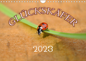 Marienkäfer 2023 (Wandkalender 2023 DIN A4 quer) von Geduldig,  Bildagentur