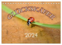 Marienkäfer 2024 (Tischkalender 2024 DIN A5 quer), CALVENDO Monatskalender von Geduldig,  Bildagentur