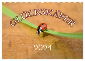 Marienkäfer 2024 (Wandkalender 2024 DIN A2 quer), CALVENDO Monatskalender von Geduldig,  Bildagentur