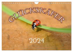 Marienkäfer 2024 (Wandkalender 2024 DIN A4 quer), CALVENDO Monatskalender von Geduldig,  Bildagentur