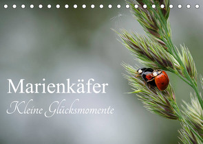 Marienkäfer – kleine Glücksmomente (Tischkalender 2023 DIN A5 quer) von Dederichs,  Karin