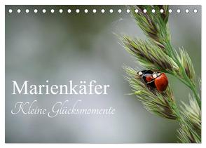 Marienkäfer – kleine Glücksmomente (Tischkalender 2024 DIN A5 quer), CALVENDO Monatskalender von Dederichs,  Karin